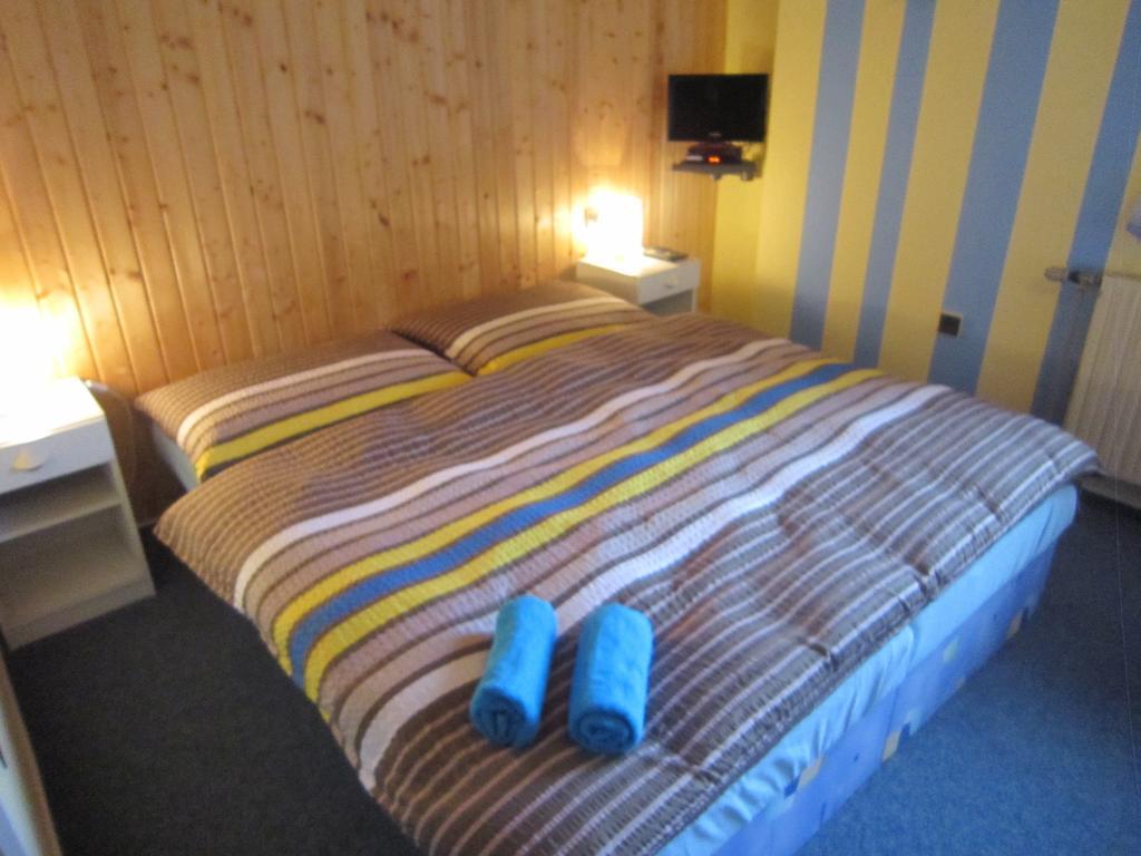 ホテル Dueto ハルラホフ 部屋 写真